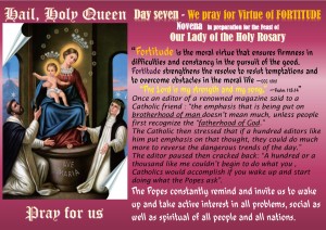 novena day 7